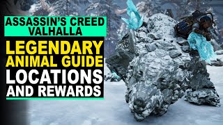 Assassins Creed Valhalla  LEGENDARY ANIMAL Guide  Locations and Rewards [upl. by Osmond]