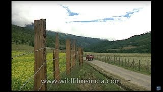 The Last Paradise Bumthang valley Bhutan [upl. by Fuld659]