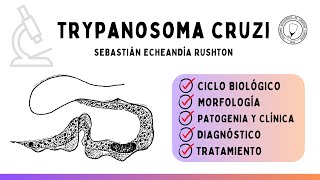 TRYPANOSOMA CRUZI Ciclo biológico Vector Clínica Diagnóstico y Tratamiento  Parasitología [upl. by Dnalevets561]