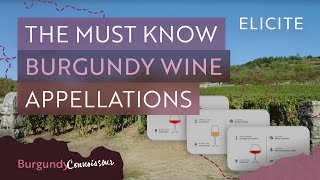 The Complete Guide To Key Burgundy Appellations [upl. by Deedee]