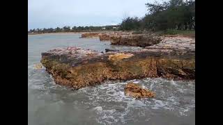 A visit to NightCliff Jetty Darwin Northern Territory Australia [upl. by Anitaf]