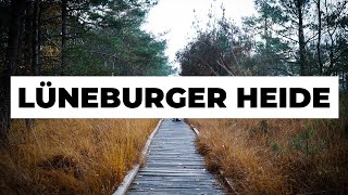 Lüneburger Heide 3 tolle Ausflugstipps  umsonst und draußen [upl. by Fries]