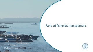 Role of fisheries management [upl. by Maris]