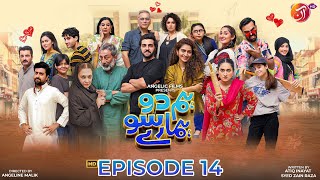 Rangeelay Hum  Episode 2  SAB TV Pakistan [upl. by Cullin994]