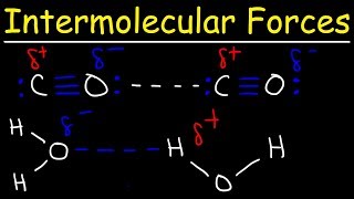 Intermolecular Forces  Hydrogen Bonding Dipole Dipole Interactions  Boiling Point amp Solubility [upl. by Burkle]