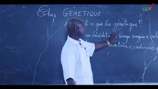 Cours  Terminale  SVT  Génétique  Introduction [upl. by Ajiram410]