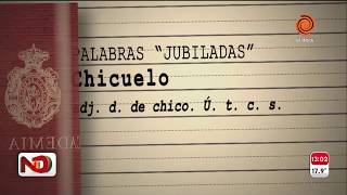 La Real Academia Española sacó del diccionario 2800 palabras [upl. by Elgar914]