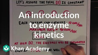 An introduction to enzyme kinetics  Chemical Processes  MCAT  Khan Academy [upl. by Fineberg]