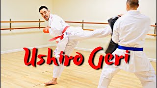 USHIRO GERI TUTORIAL Spinning Back Kick [upl. by Enyrehtac]