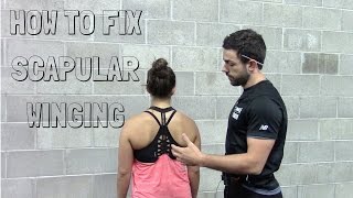 How to Fix Scapular Winging  A Case Study with Exercises [upl. by Tabber]