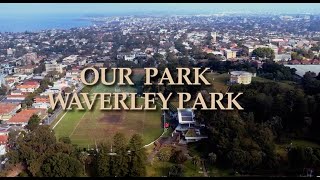 Our Park Waverley Park [upl. by Einohtna186]