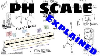 The pH Scale Explained [upl. by Adley35]