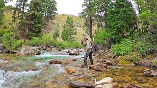 Fly Fishing the most INCREDIBLE Stream in Wyoming  Fly Fishing Wyoming part 3 [upl. by Curkell]