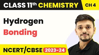 Hydrogen Bonding  Chemical Bonding and Molecular Structure  Class 11 Chemistry [upl. by Kovar]