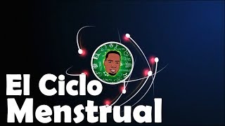 Ciclo menstrual  Menstruación 3D [upl. by Ayanad]