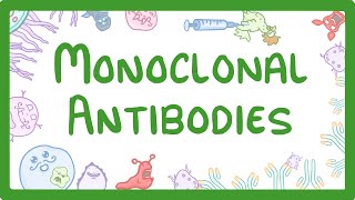 GCSE Biology  Monoclonal Antibodies 40 [upl. by Zack]