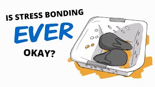 Is stress bonding really okay When to use stress bonding techniques [upl. by Atteynad]