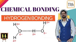 Chemical Bonding । Class 11 L 14 । Hydrogen bonding [upl. by Tnert482]