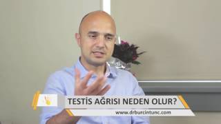 Testis Ağrısı Neden Olur [upl. by Quickman]