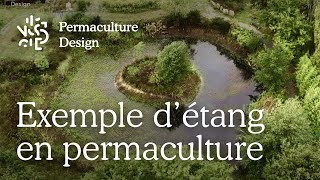 Exemple d’étang dans un jardin en permaculture [upl. by Salkcin]