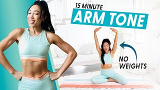 15 Minute Arm Burnout weightless upper body workout [upl. by Annecorinne]