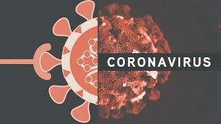 Studying Coronaviruses Vectors to Vaccines [upl. by Aroel]