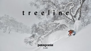 Treeline  The Secret Life of Trees  Patagonia Films [upl. by Acquah]