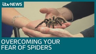 How do you overcome a fear of spiders  ITV News [upl. by Madid]