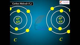 Bonding in Some Homonuclear Diatomic Molecules  Class 11 Chemistry Chapter 4 Chemical Bonding [upl. by Enylekcaj]