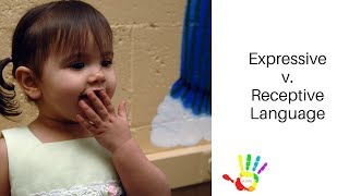 Receptive versus Expressive Language [upl. by Blanchette395]