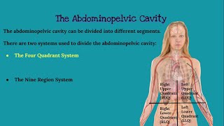 CHAPTER 1 Introduction to Anatomy and Physiology [upl. by Matthei]