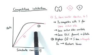 AS Biology  Enzyme inhibition OCR A Chapter 43 [upl. by Wyler]