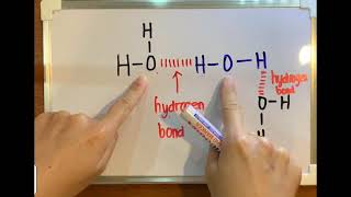 Hydrogen bonds drawing and explanation [upl. by Tshombe984]