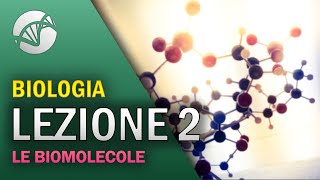 BIOLOGIA  Lezione 2  Le Biomolecole [upl. by Rellim]