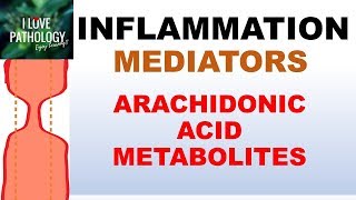 INFLAMMATION Part 5 Chemical Mediators ARACHIDONIC ACID METABOLITES [upl. by Gerianne302]