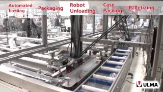 Packaging line automation [upl. by Adas159]