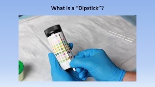 Interpretation of the Urinalysis Part 2  The Dipstick [upl. by Ecirtel]