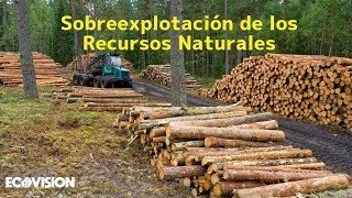 SOBREEXPLOTACIÓN DE LOS RECURSOS [upl. by Einneg]