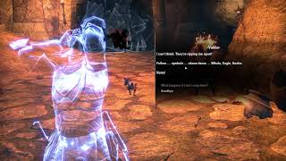 The Shackled Guardian  How to solve the door puzzle  ESO [upl. by Ennadroj493]