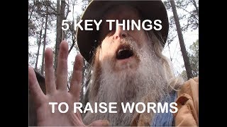 5 KEYS TO RAISING WORMS [upl. by Henry]