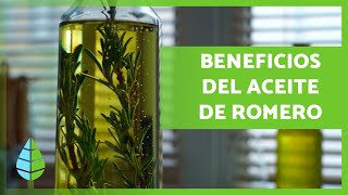 ACEITE de ROMERO 🪔🍃 ¡Propiedades BENEFICIOS y Cómo Hacerlo [upl. by Rona]