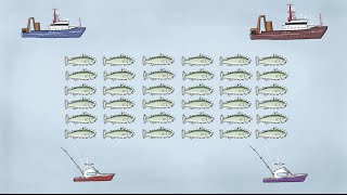 Fisheries Economics amp Policy Intro to Fisheries Management [upl. by Enilrad696]