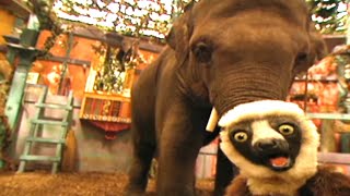 Zoboomafoo with the Kratt Brothers BABY ELEPHANT 2  Full Episodes Compilation [upl. by Walrath]