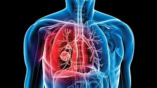 Tuberculosis Testing TB [upl. by Acemat]