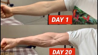 Vascular Forearms in Only 20 Days [upl. by Piers]