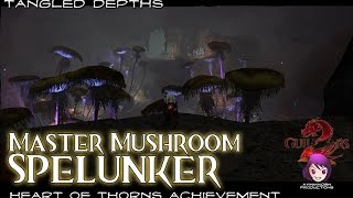 Guild Wars 2  Master Mushroom Spelunker achievement [upl. by Simpkins]