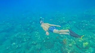 Guadeloupe sous les Cocotiers  2 Semaines de Fun Aventure et Détente entre amis [upl. by Enawd905]