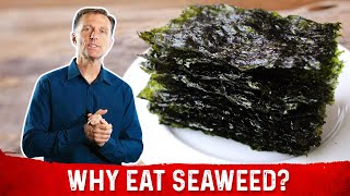 What is Seaweed – DrBerg Explains Roasted Seaweed Benefits [upl. by Innaig]