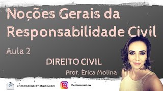 AULA 2  NOÇÕES GERAIS DA RESPONSABILIDADE CIVIL [upl. by Ellehcor]