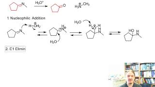 Imine Hydrolysis [upl. by Hgeilhsa]